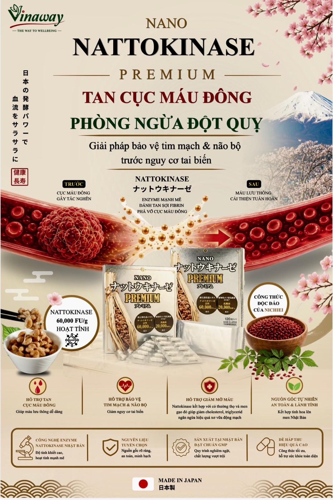 Nano Nattokinase Premium product flyer